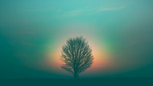 Three New Reasons to Leverage the Halo Effect in Your Local Sponsorship Efforts