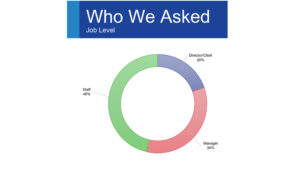 Greater Public DEI Survey - Who We Asked - Job Level