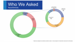Greater Public DEI Survey - Who We Asked - Race/Ethnicity